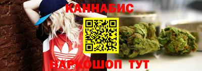 эйфоретик Малгобек