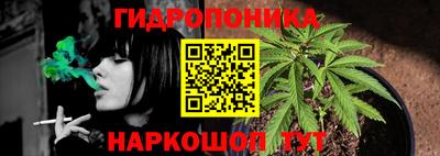 эйфоретик Малгобек