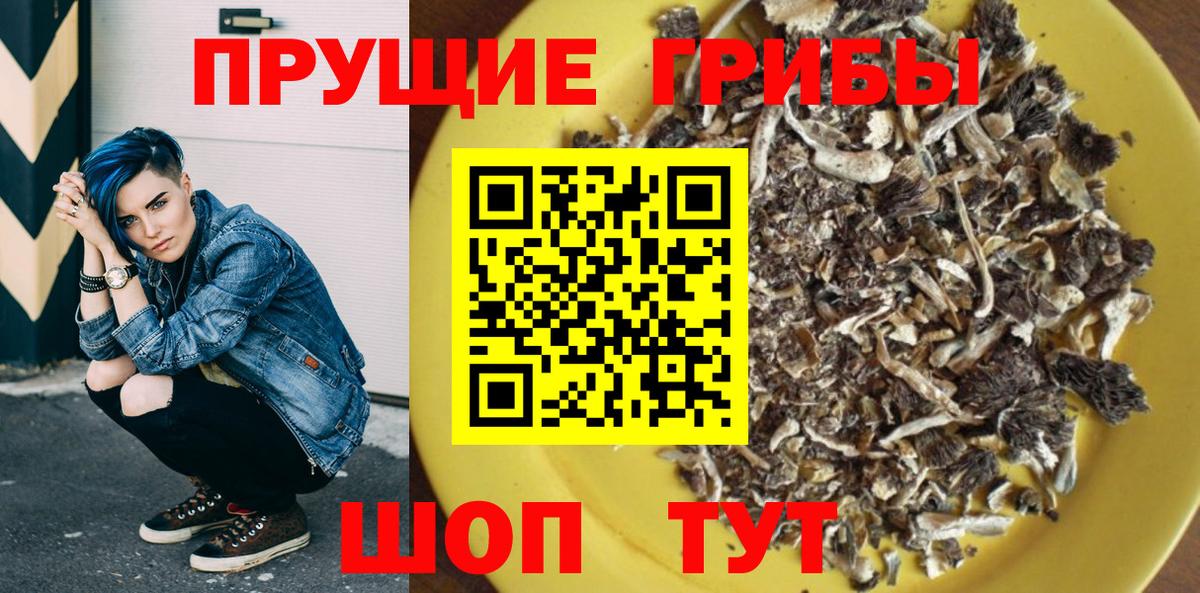 купить  сайты  Вход с VPN  Владимир  Псилоцибиновые грибы Magic Shrooms 